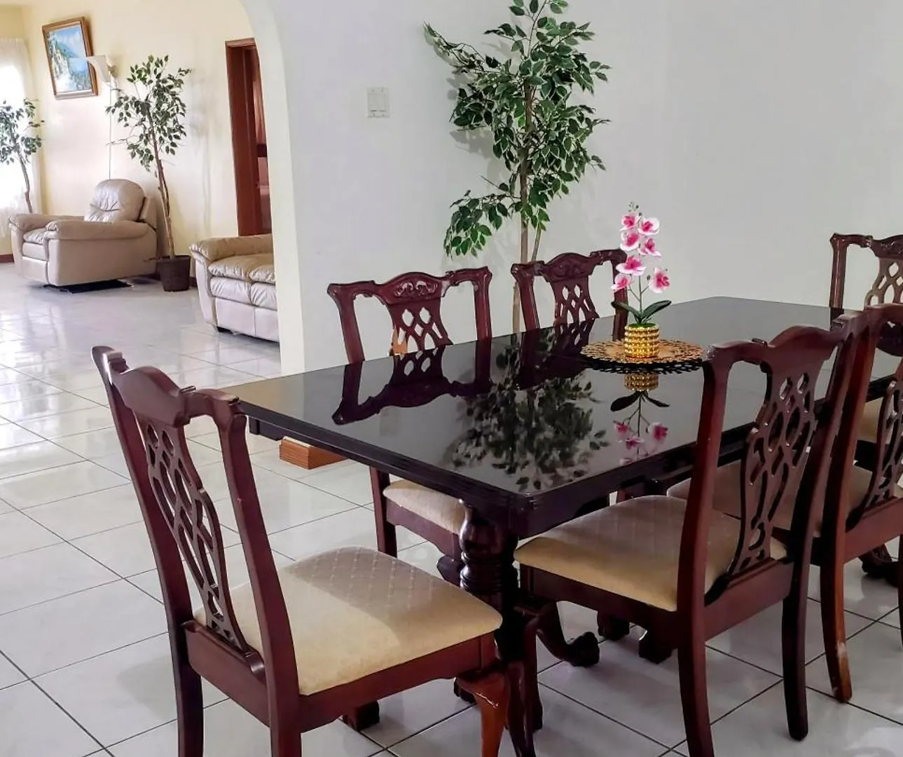 Comfy Havens Apartment Montego Bay 0*,