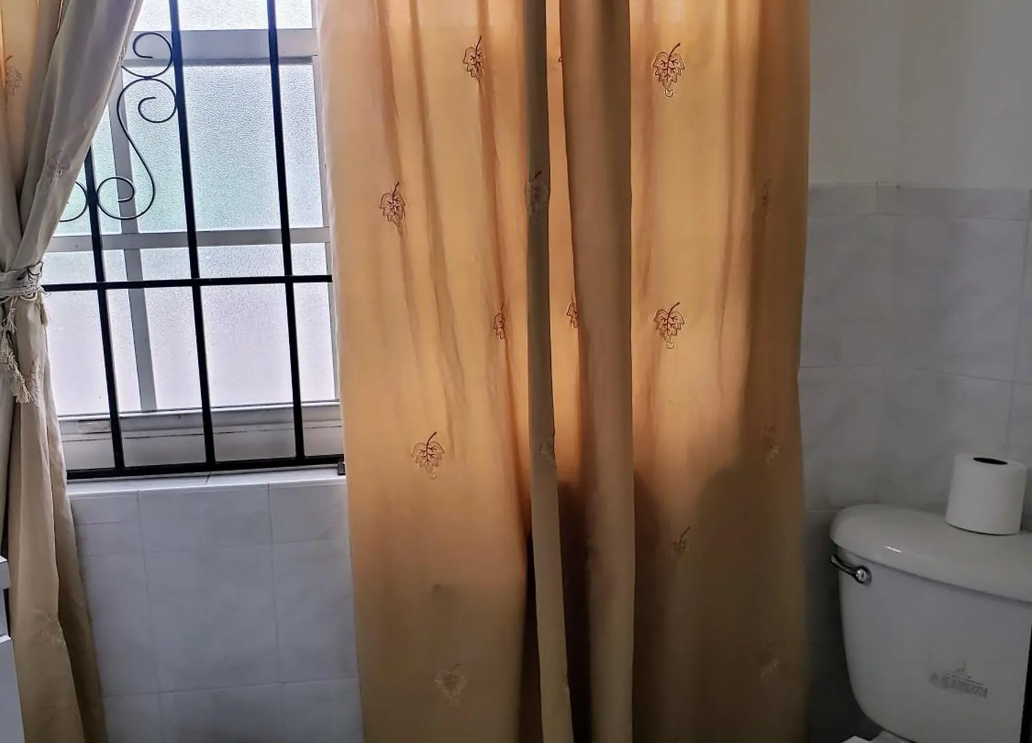 Comfy Havens Apartment Montego Bay