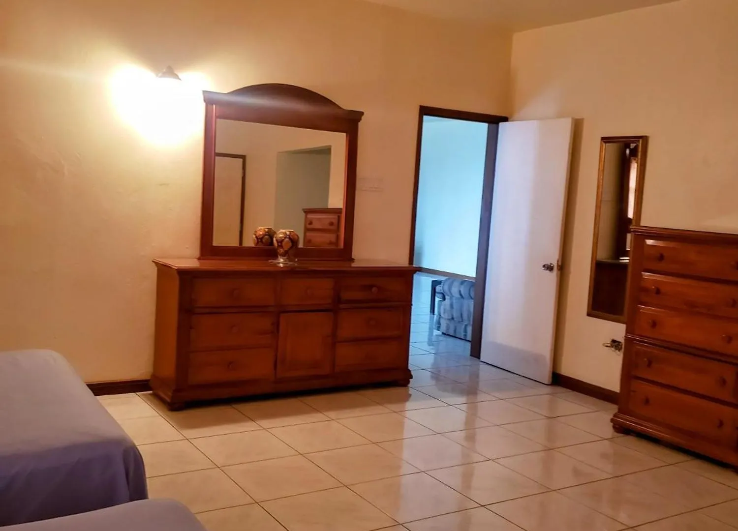 Comfy Havens Apartment Montego Bay